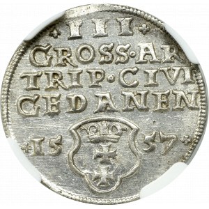 Sigismund II Augustus, Trojak 1557, Danzig - RARE - NGC MS62