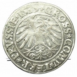 Sigismund I the Old, Groschen for Prussia 1535, Thorn