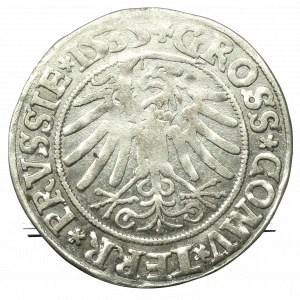 Sigismund I. der Alte, Pfennig für die preußischen Länder 1535, Toruń - PRVSSIE/PRVSSIE