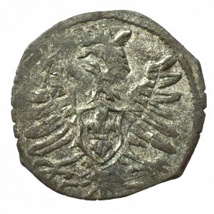 Sigismund III, Denarius 1603, Posen - very rare