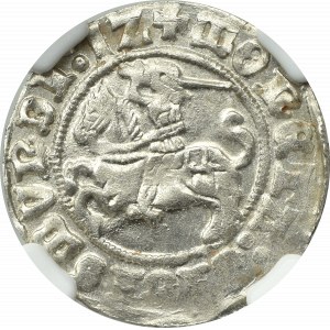 Sigismund I. der Alte, Halber Pfennig 1512, Vilnius - NGC MS64