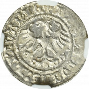 Sigismund I. der Alte, Halber Pfennig 1512, Vilnius - NGC MS64