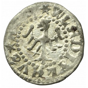 Vladislaus II, halfgroat without date, Lviv