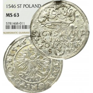 Sigismund I. der Alte, Pfennig 1546, Krakau - NGC MS63 (MAX)