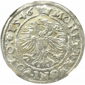 Zygmunt I Stary, Grosz 1546, Kraków - NGC MS63 (MAX)