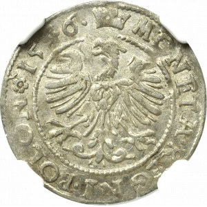 Zygmunt I Stary, Grosz 1546, Kraków - POLON - NGC MS61