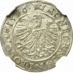 Sigismund I. der Alte, Grosz 1546, Krakau - POLON - NGC MS61