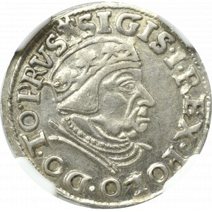 Sigismund I. der Alte, Trojak 1538, Danzig - NGC MS61 (2-MAX)