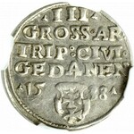 Sigismund I. der Alte, Trojak 1538, Danzig - NGC MS61 (2-MAX)