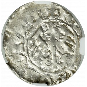 Vladislaus II, halfgroat without date, Cracov