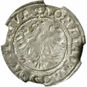 Sigismund II Augustus, Halbpfennig 1545, Wilna - RARE - NGC AU58