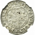 Sigismund II Augustus, Halfgroat 1545, Vilnius