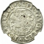 Sigismund II Augustus, Halbpfennig 1545, Wilna - RARE - NGC AU58