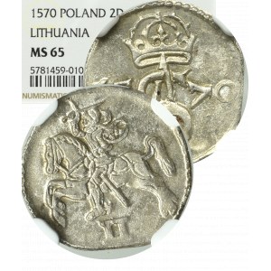 Sigismund II Augustus, Dudenar 1570, Vilnius - NGC MS65 (MAX)