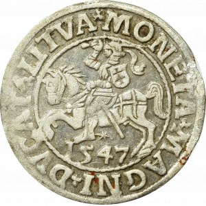 Sigismund II Augustus, Halfgroat 1547, Vilnius