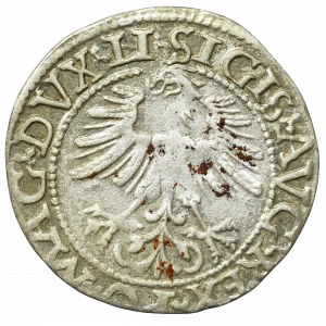 Sigismund II Augustus, Halfgroat 1562, Vilnius