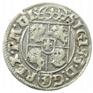 Sigismund III, 1,5 groschen 1619, Bromberg