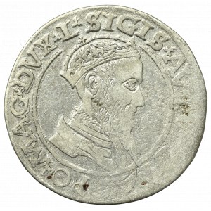 Sigismund II. Augustus, Viereckig 1565, Vilnius L/LITVA