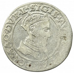 Zygmunt II August, Czworak 1565, Wilno L/LITVA