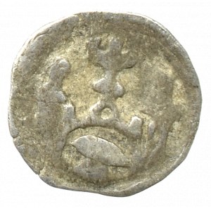 Pommern, Stettin, Denarius without date