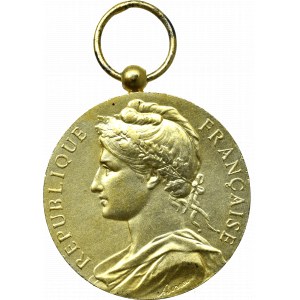 Francja, Medal nagrodowy Ministerstwo Spraw Społecznych 1971 - srebro