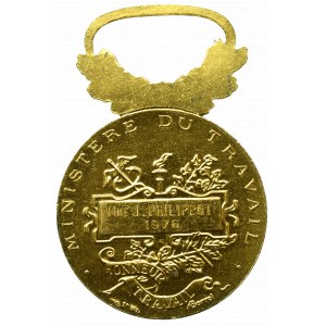 Francja, Medal nagrodowy Ministerstwo Pracy 1976 - srebro