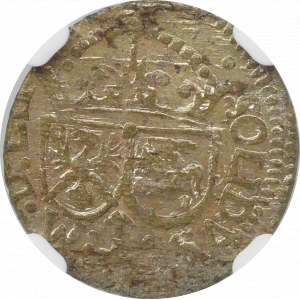 Sigismund III. Vasa, Schellfisch 1616, Vilnius - NGC MS63