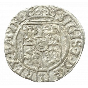 Sigismund III. Vasa, Półtorak 1625, Bydgoszcz - Sas im polnischen Schild