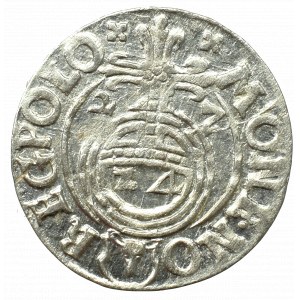 Sigismund III. Wasa, Półtorak 1627, Bydgoszcz - Halbkosak im polnischen Schild Z4