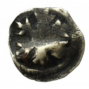 Pommern, Gartz, Denarius without date