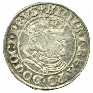 Sigismund I. der Alte, Pfennig für preußische Länder 1532, Toruń - PRVS/PRVSS