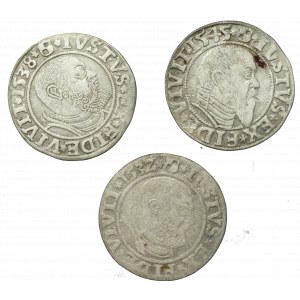 Prusy Książęce, Zestaw groszy 1532-1545