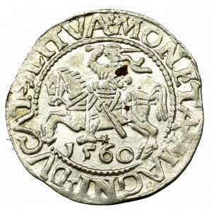 Sigismund II Augustus, Halfgroat 1560, Vilnius - L/LITVA