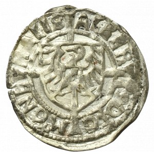 Zakon Krzyżacki, Albrecht Hohenzollern, Grosz 1523, Królewiec - RZADKOŚĆ