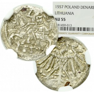 Zygmunt II August, denar 1551, Wilno - RZADKOŚĆ - NGC AU55 (MAX)