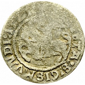 Sigismund I. der Alte, Halber Pfennig 1521, Vilnius