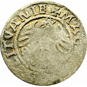 Sigismund I. der Alte, Halber Pfennig 1521, Vilnius