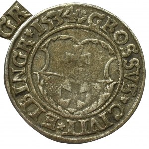 Sigismund I. der Alte, Pfennig 1534, Elbląg - unsigniertes Blatt ELBINGR/K