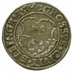 Sigismund I. der Alte, Pfennig 1534, Elbląg - unsigniertes Blatt ELBINGR/K