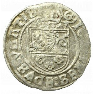 Schlesien, Bishopic Duchy, John Turzo, Groschen 1507