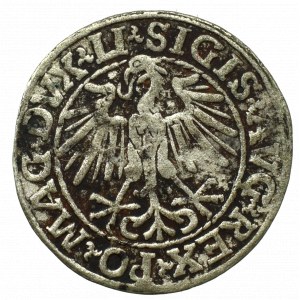 Sigismund II Augustus, Halfgroat 1548, Vilnius