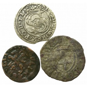 Satz königlich polnischer Münzen