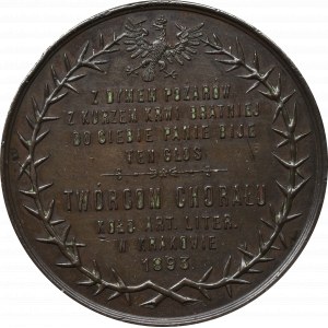Polska, Medal Ujejski Nikorowicz, Kraków 1893