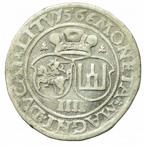Zygmunt II August, Czworak 1566, Wilno - L/LITV