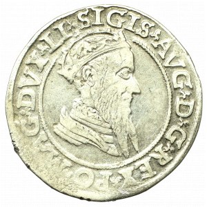 Sigismund II August, 4 groschen 1569, Vilnius