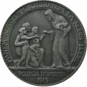 Poland, Polonia Devastata Medal 1915