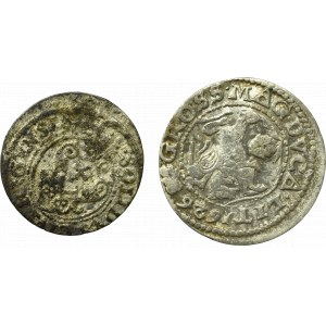 Grupa monet z okresu Polski Królewskiej (11 egzemplarzy)