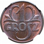 II Republic of Poland, 1 groschen 1930 - NGC MS66 RB