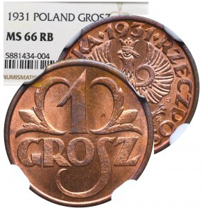 II Rzeczpospolita, 1 grosz 1931 - NGC MS66 RB