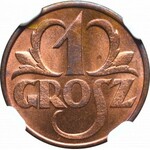 II Rzeczpospolita, 1 grosz 1931 - NGC MS66 RB